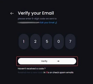 verify email